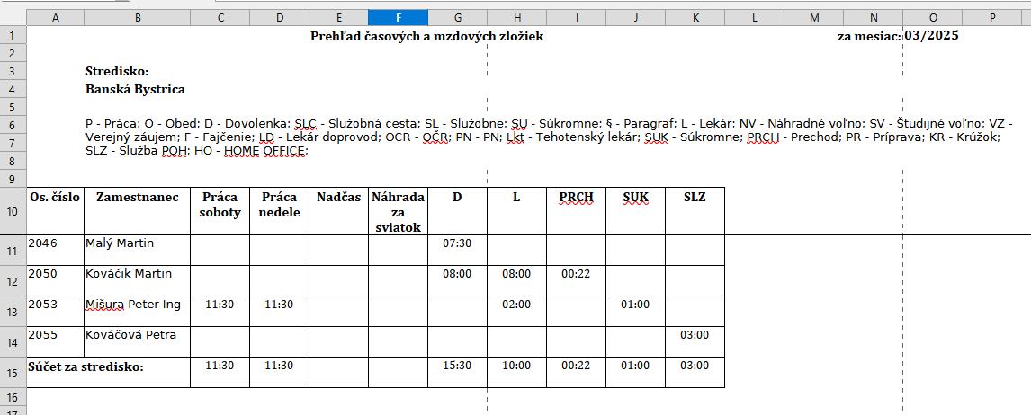 Prehľad časových a mzdových zložiek