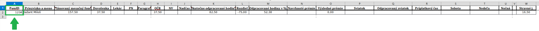 Špeciálne zostavy - Mesačný report dochádzky - nastavenia PaM ID - výstup